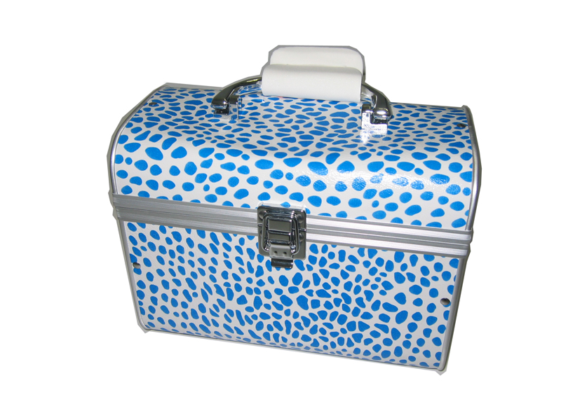 Light Style Make Up Case Free Shipping - Click Image to Close