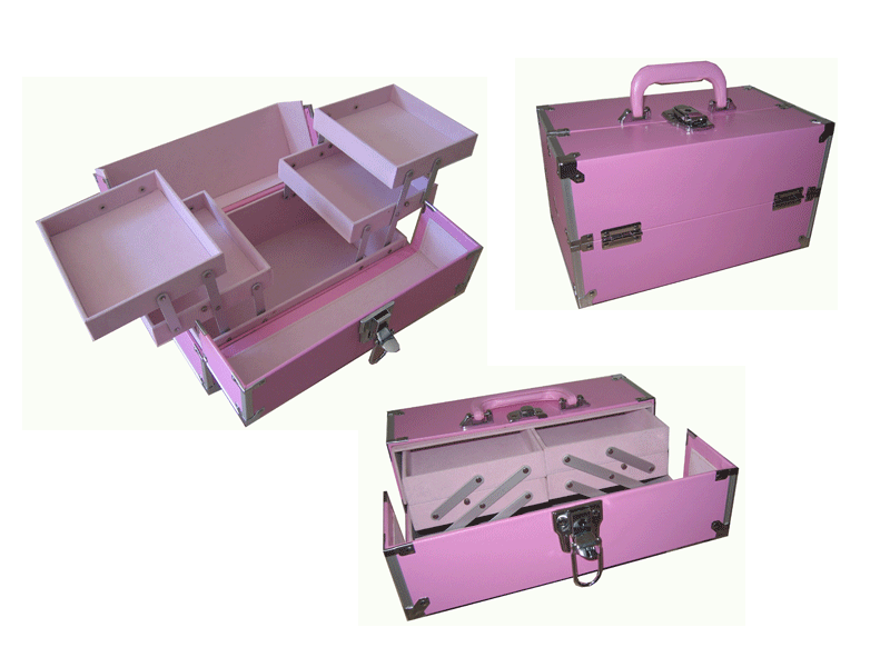 Stylish Make Up Case Pink Free Shipping - Click Image to Close